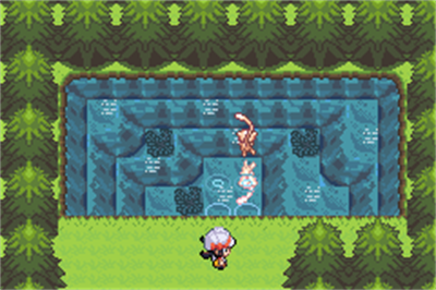 Pokémon Dark Realm - Screenshot - Gameplay Image