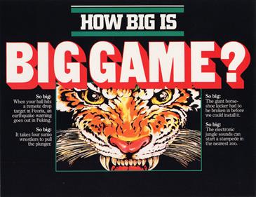 Big Game - Advertisement Flyer - Front Image