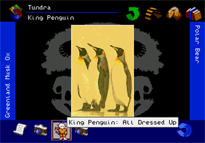 The San Diego Zoo Presents... The Animals! A True Multimedia Experience - Screenshot - Gameplay Image