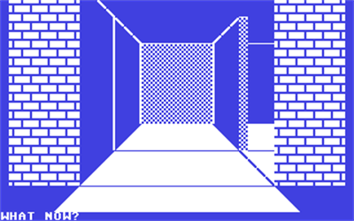 Labyrinth (Commodore Business Machines) - Screenshot - Gameplay Image