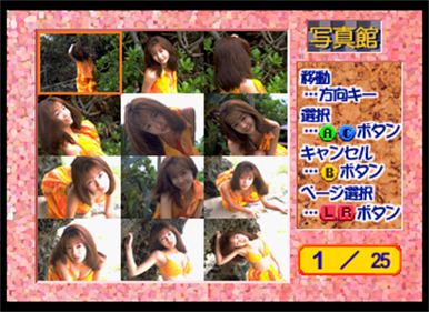 Private Idol Disc Vol. 9: Nagamatsu Keiko - Screenshot - Gameplay Image