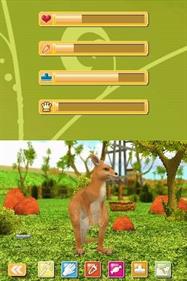 Paws & Claws: Pet Vet: Australian Adventures - Screenshot - Gameplay Image