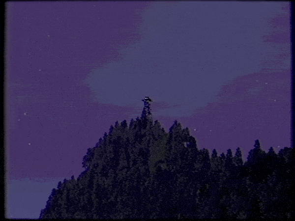 Night Watch