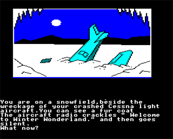 Winter Wonderland - Screenshot - Gameplay Image
