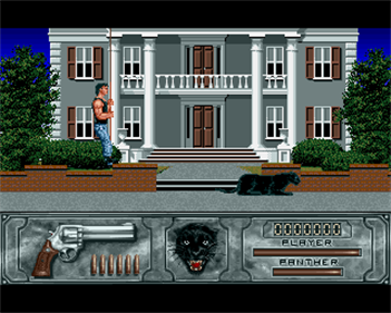 Wild Streets - Screenshot - Gameplay Image