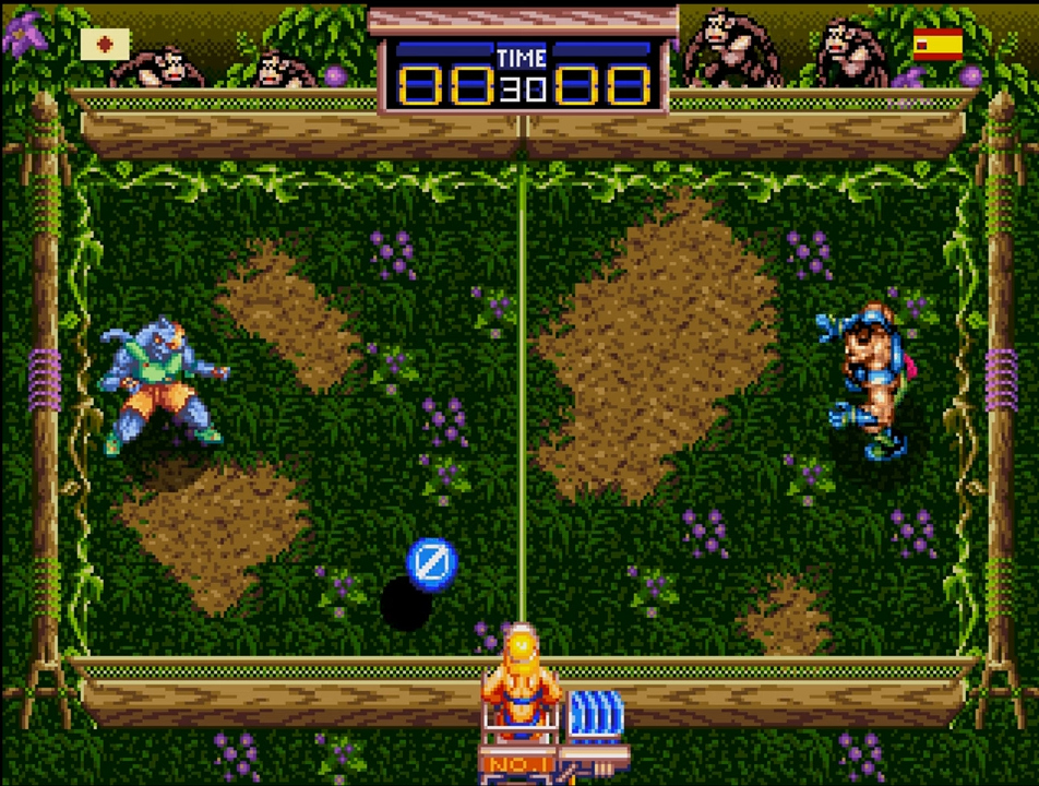 Windjammers