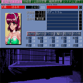 Wrestle Angels Special - Screenshot - Gameplay Image