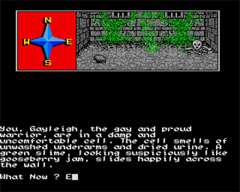 Dungeons, Amethysts, Alchemists n Everythin' - Screenshot - Gameplay Image