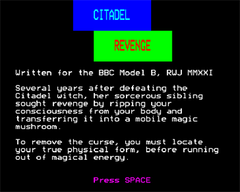 Citadel Revenge - Screenshot - Gameplay Image