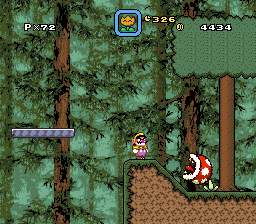 New Super Mario World 3: Peach's Double Trouble