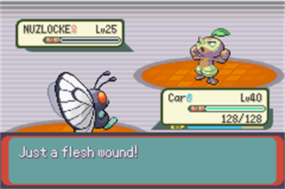 Pokémon Derp Emerald - Screenshot - Gameplay Image