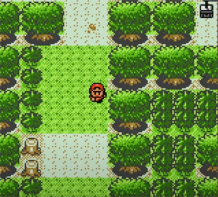 Pokémon Bronze Version - Screenshot - Gameplay Image