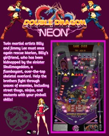 Double Dragon Neon