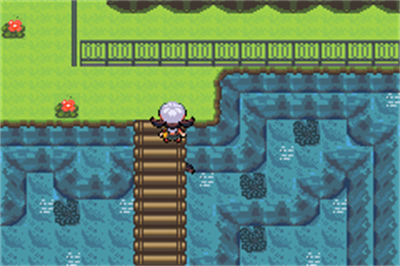 Pokémon Dark Realm - Screenshot - Gameplay Image