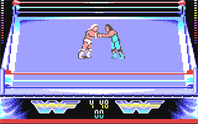 WWF WrestleMania - Screenshot - Gameplay Image