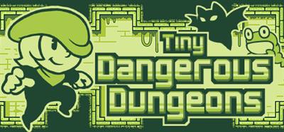 Tiny Dangerous Dungeons - Banner Image