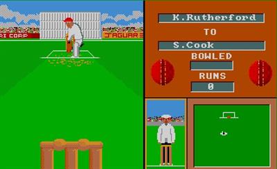 Cricket Crazy - Screenshot - Gameplay Image