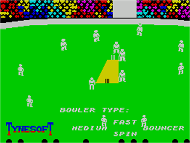 Ian Botham's Test Match - Screenshot - Gameplay Image