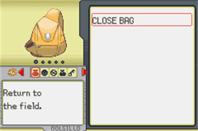 Pokémon Crono - Screenshot - Gameplay Image