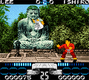 International Karate 2000 - Screenshot - Gameplay Image