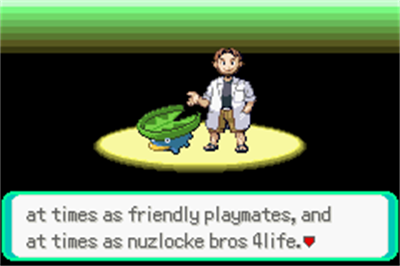 Pokémon Derp Emerald - Screenshot - Gameplay Image
