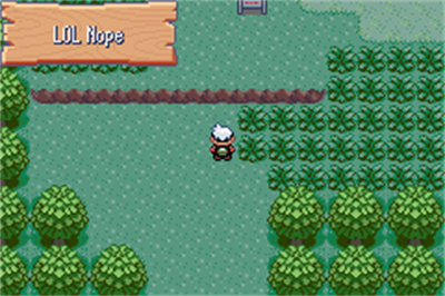 Pokémon Derp Emerald - Screenshot - Gameplay Image