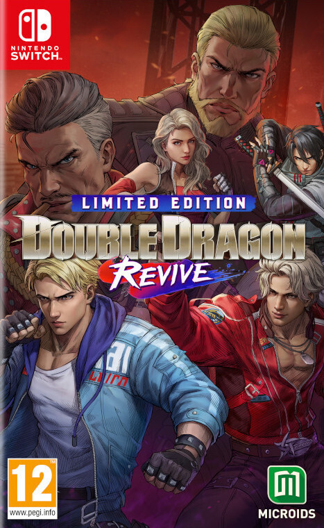 Double Dragon Revive