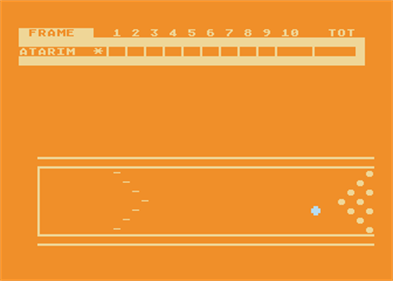 Pro Bowling - Screenshot - Gameplay Image