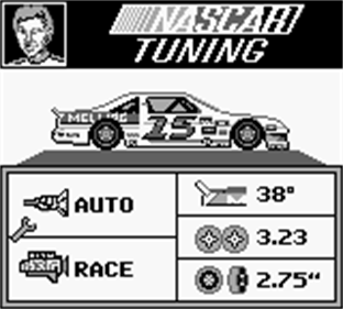 Bill Elliott's NASCAR Fast Tracks - Screenshot - Gameplay Image