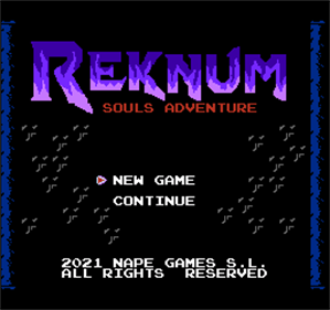 Reknum: Souls Adventure - Screenshot - Game Title Image