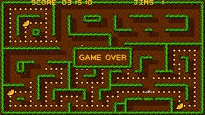 Jungle Jim - Screenshot - Game Over Image