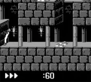 Prince of Persia - Screenshot - Gameplay Image