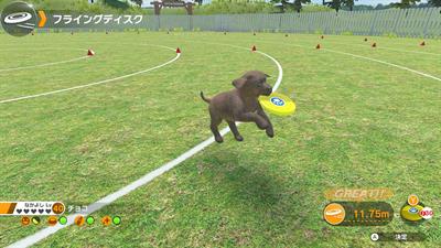 Little Friends: Dogs & Cats - Screenshot - Gameplay Image