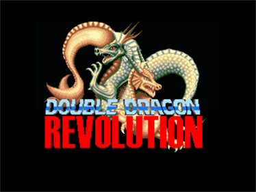 Double Dragon Revolution - Screenshot - Game Title Image