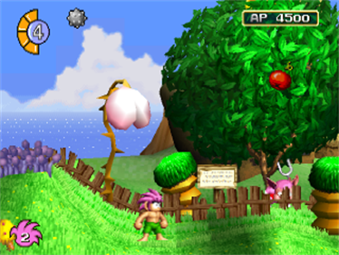 Tomba! - Screenshot - Gameplay Image