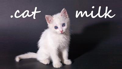 .cat Milk - Fanart - Background Image