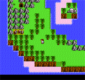 StarTropics - Screenshot - Gameplay Image