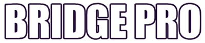 Bridge Pro - Clear Logo Image