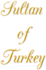 Sultan of Turkey - Clear Logo Image