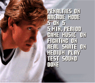 Wayne Gretzky and the NHLPA All-Stars - Screenshot - Game Select Image