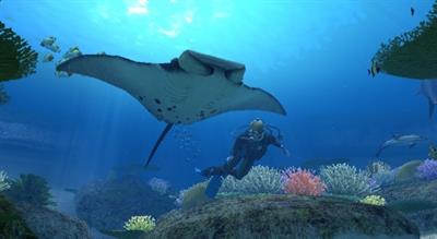 Endless Ocean - Screenshot - Gameplay Image