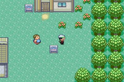 Pokémon Emerald Version - Screenshot - Gameplay