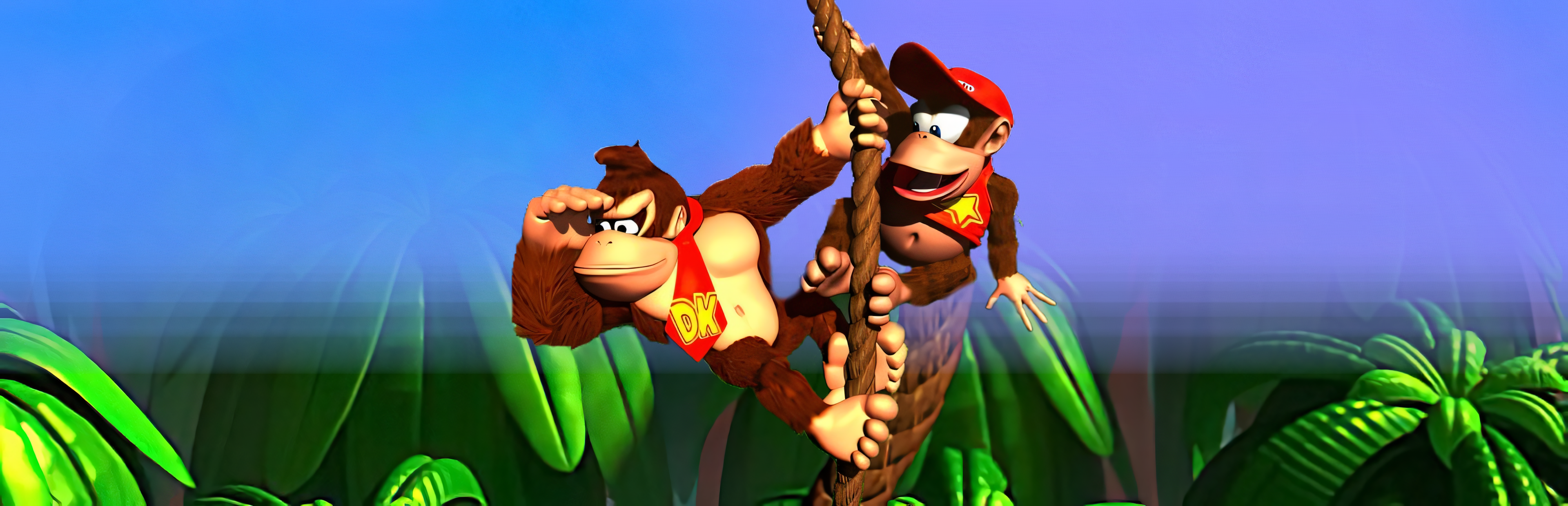 Donkey Kong Country 4: The DK Bay