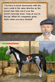 Dreamer Series: Horse Trainer - Screenshot - Gameplay Image