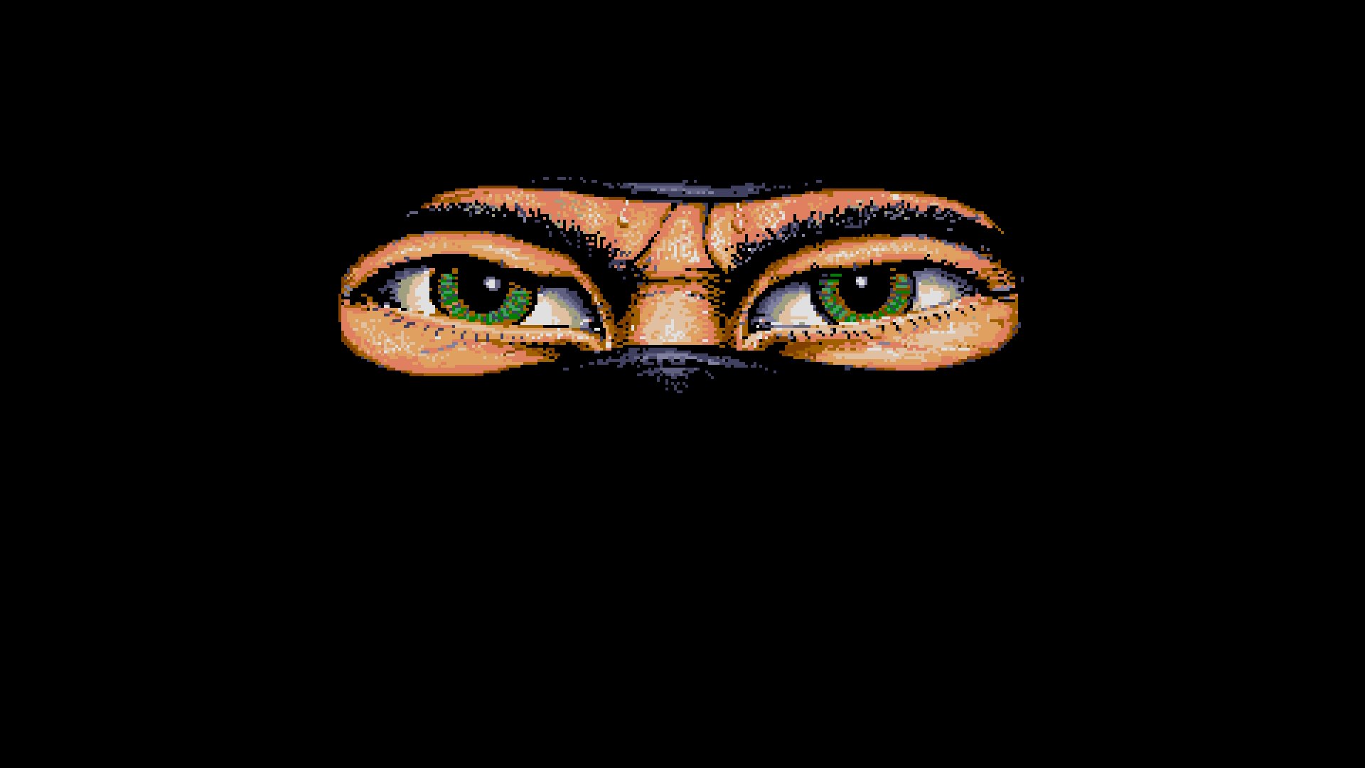 The Last Ninja (System 3 Software)