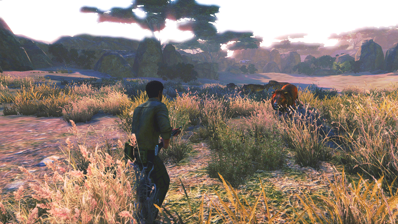 Cabela's African Adventures