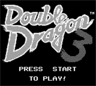 Double Dragon 3: The Arcade Game - Screenshot - Game Title Image