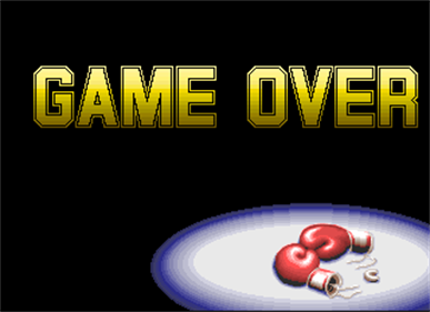 Prime Time Fighter - Screenshot - Game Over Image