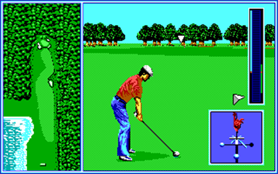 Tournament Golf - Screenshot - Gameplay Image