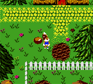 Conker's Pocket Tales - Screenshot - Gameplay Image